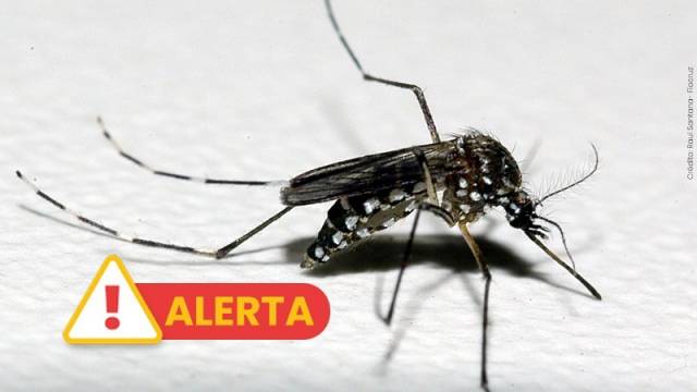 RS registra oitava morte por dengue no ano