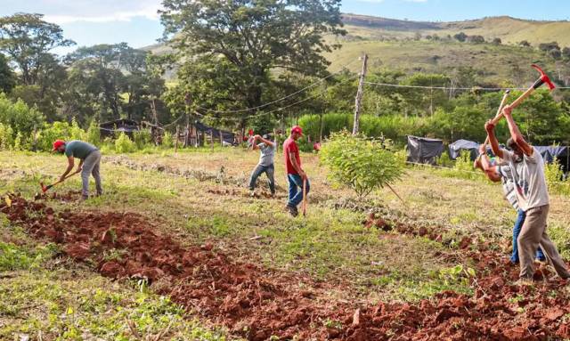 Justiça nega reintegração em fazenda ocupada pelo MST em Minas Gerais