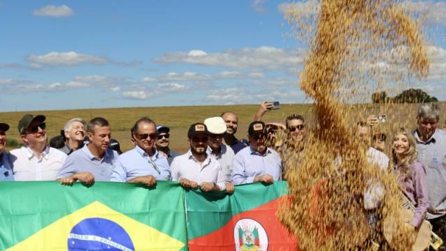 Aberta oficialmente a colheita da soja no RS