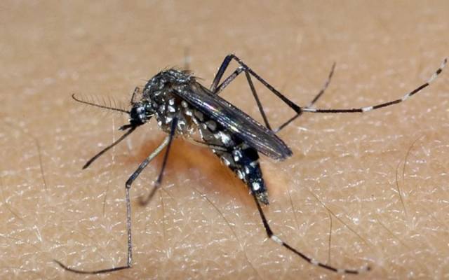 Confirmada a 7ª morte por dengue em Três de Maio