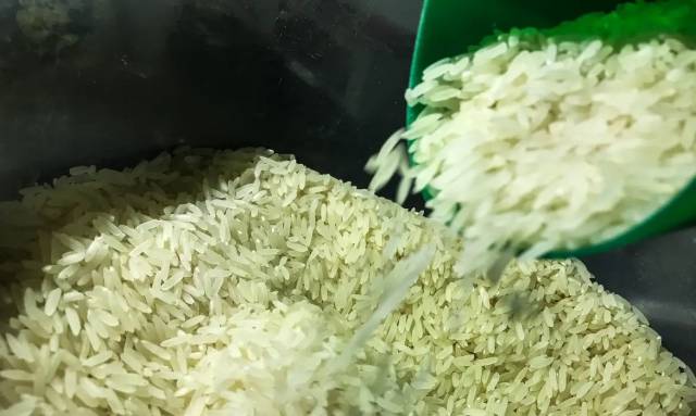Deputado gaúcho questiona gastos públicos com importação de arroz
