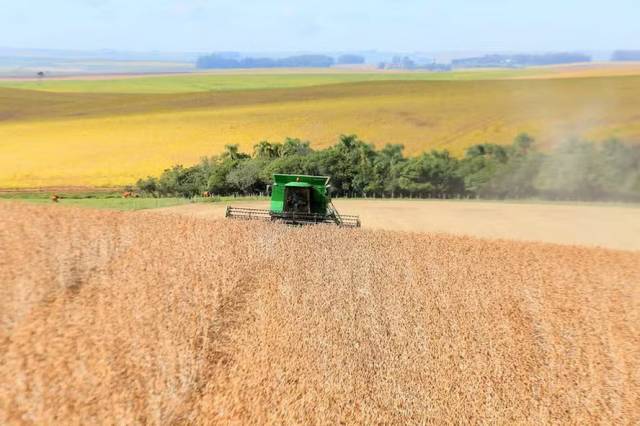 PIB agropecuário sobe 11,3% no primeiro trimestre de 2024