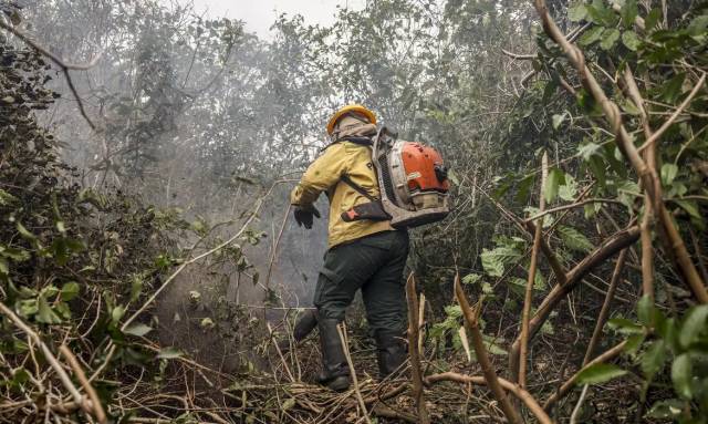Ibama multa fazendeiros em R$ 100 milhões por incêndio no Pantanal