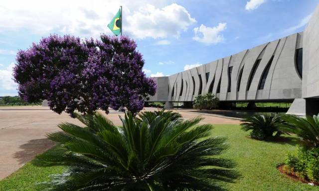 STJ autoriza cultivo de cannabis para fins medicinais