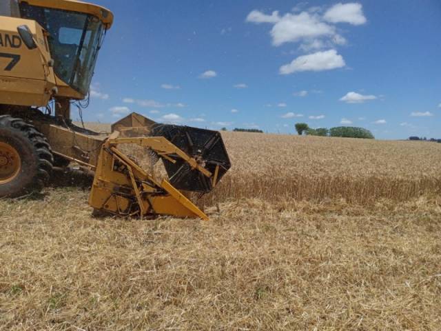 Prorrogação de dívidas do crédito rural no RS será aprovada na próxima semana