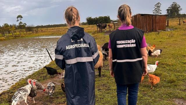 Teste descarta gripe aviária em trabalhador de Montenegro