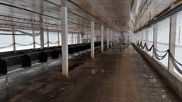 Desinfecção da granja de Montenegro é concluída e área entra no período de vazio sanitário