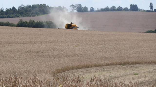 CMN reduz para R$ 200 mil limite de enquadramento no Proagro