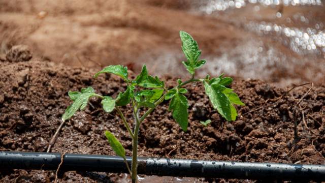 Últimos dias para produtores rurais se inscreverem no Programa Irriga+