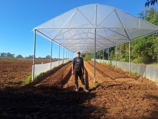 Horticultura: um pilar da agricultura familiar