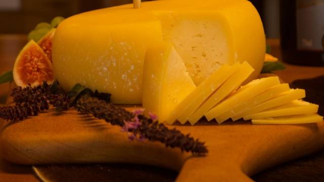 Pesquisa analisa queijo colonial gaúcho e sua produção artesanal