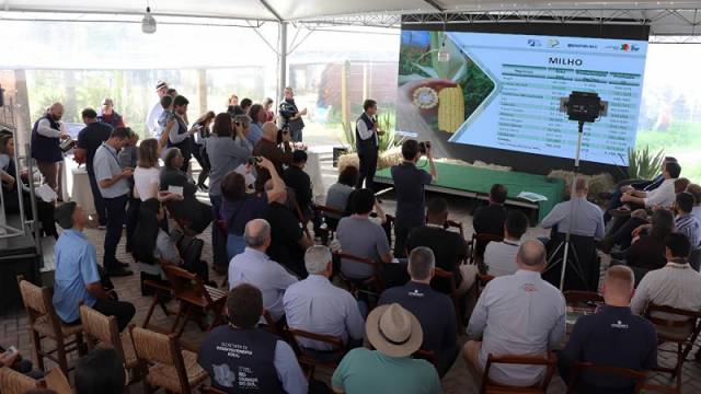 Rio Grande do Sul deve ter aumento de 27,30% na produção de soja e milho