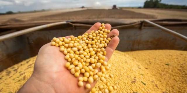 Brasil bate recorde anual de exportação de soja