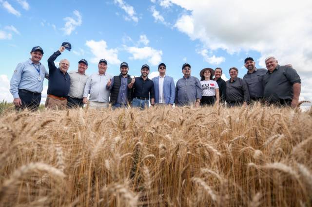 Abertura Nacional da Colheita do Trigo é realizada em Campo Novo