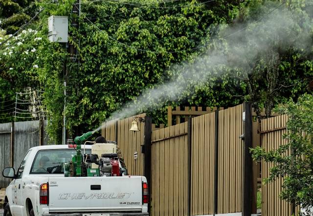 Três de Maio tem 13 casos de dengue confirmados e 7 em investigação