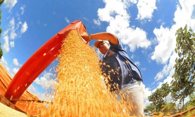 Agro ajudou oito estados a crescerem mais que o Brasil em 2023