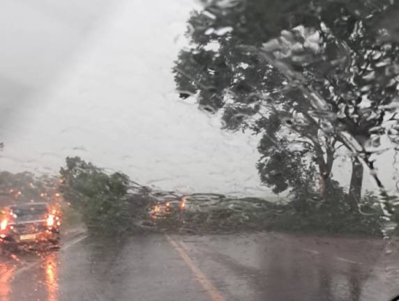 Temporal causa transtornos no Noroeste do RS