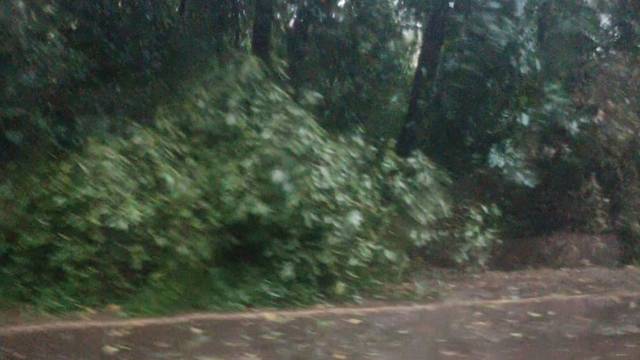 Chuva com ventos fortes causa transtornos em Três de Maio