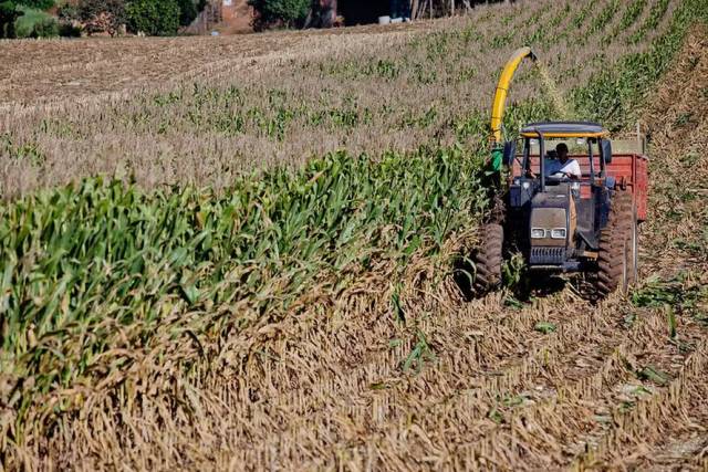 Endividamento fez crédito rural a agricultor familiar cair 30% no RS, diz Fetag