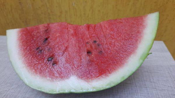 Confira as frutas produzidas no RS que têm aumento de consumo no verão