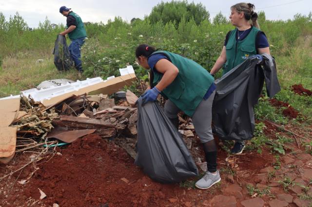 Quatro bairros de Três de Maio têm o maior índice de infestação do Aedes