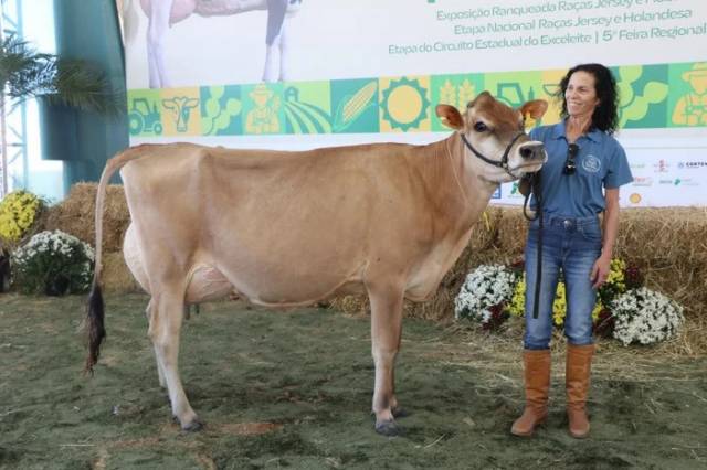 Vaca quebra recorde nacional na Expoagro de Campo Novo