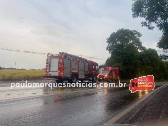 Queda de árvore na BR-472 causa acidente com três motocicletas