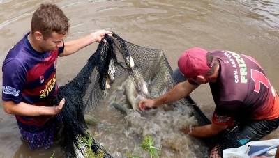 Piscicultura intensifica manejo para melhor produção na Semana Santa