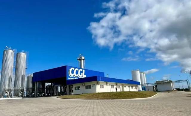 CCGL distribui mais de R$ 30 milhões para produtores de leite associados