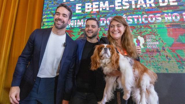 Fundo de Proteção e Bem-Estar de Animais Domésticos do RS terá cinco fontes de recursos