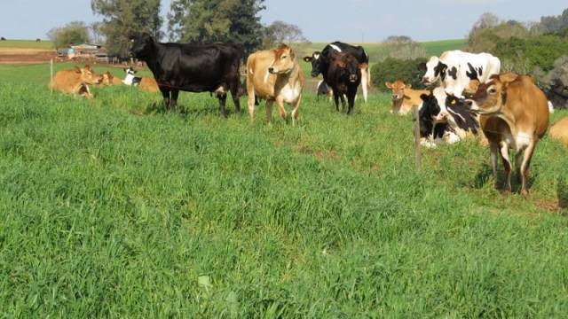 SDR regulamenta retomada do bônus de adimplência do Feaper