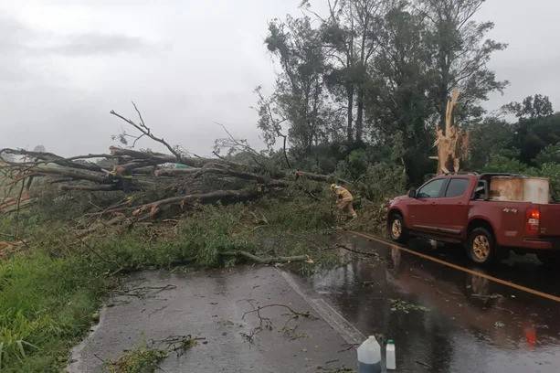Chuva e vento foram tombam caminhão e derrubam árvore em Cruz Alta