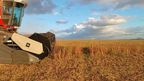Colheita da soja no Rio Grande do Sul se aproxima do final