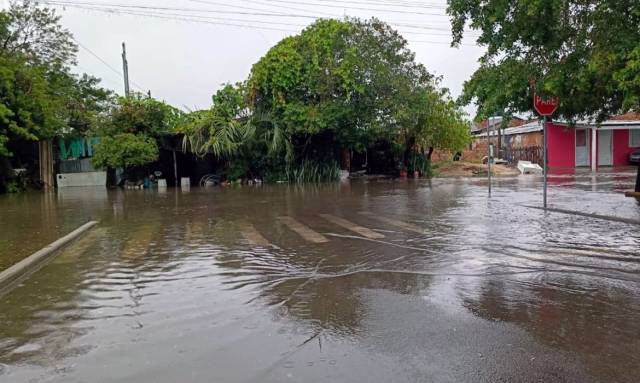 Temporal no RS deixa desalojados e provoca danos em 19 cidades