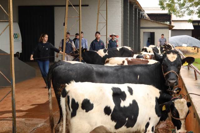 Fenasoja recebe os primeiros animais nesta segunda-feira
