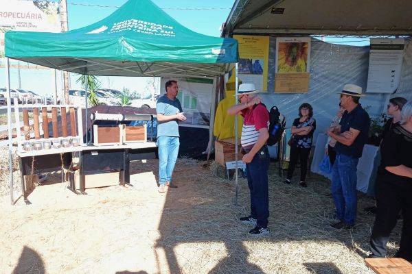 Emater/RS-Ascar alerta para necessidade de olhar mais atento ao solo