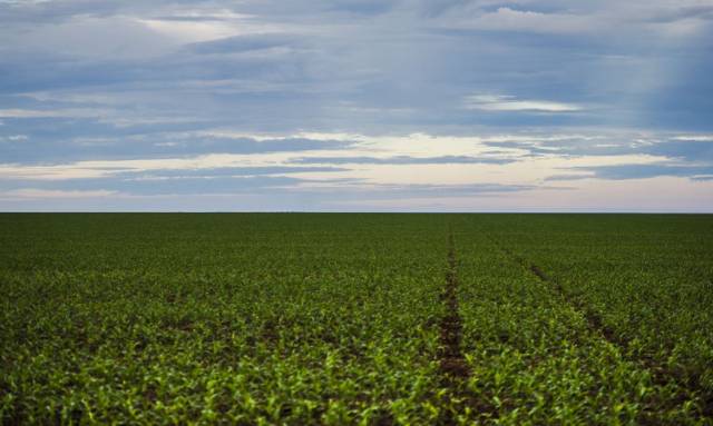 Ministério da Fazenda estuda Fundo Garantidor para dívidas rurais