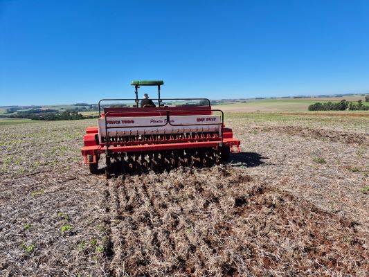 Inicia período recomendado para o plantio de trigo no Rio Grande do Sul