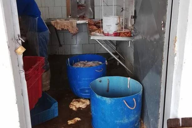 Em ação do Ministério Público, frigorífico é interditado em Tucunduva