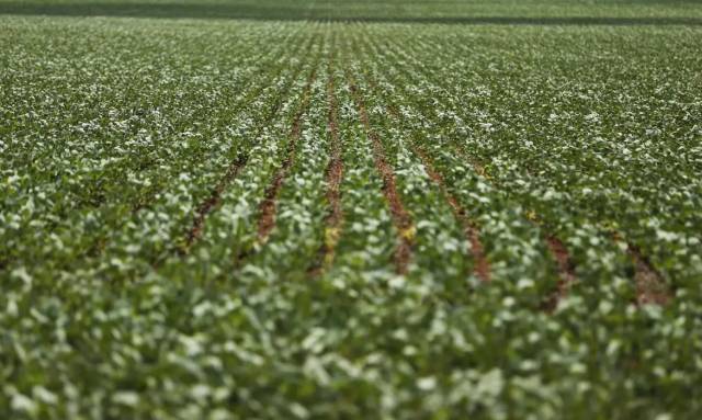 Reunião entre governo e bancada do agro termina sem acordo sobre dívidas rurais