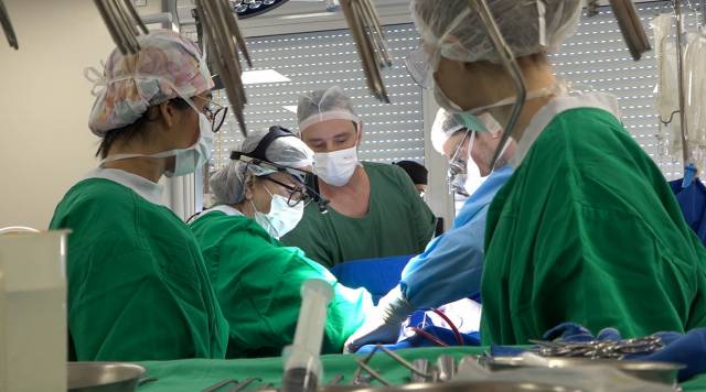 Vida e Saúde é habilitado no  Programa Agora Tem Especialistas para acesso a crédito financeiro à cardiologia