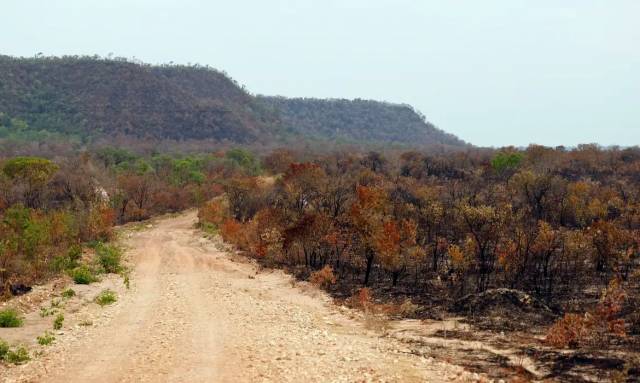 Mapbiomas: menor vegetação nativa aumenta exposição do país ao El Niño