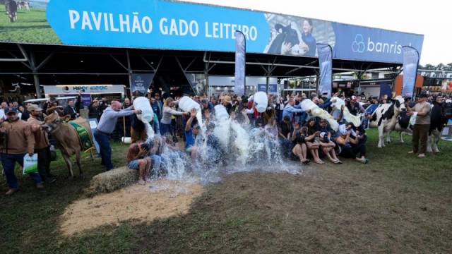 Tradicional banho de leite premia campeãs em produção leiteira na Expointer