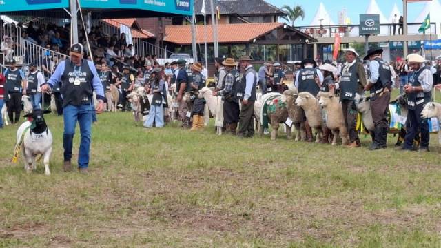 Desfile dos grandes campeões na Expointer representa diversidade alcançada pelos produtores rurais