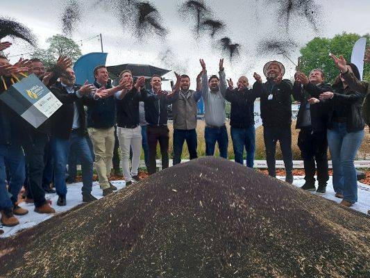 Rio Grande do Sul realiza primeira abertura nacional da colheita de canola