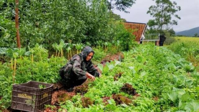 Dia Internacional das Mulheres Rurais celebra o protagonismo feminino que transforma a realidade no campo