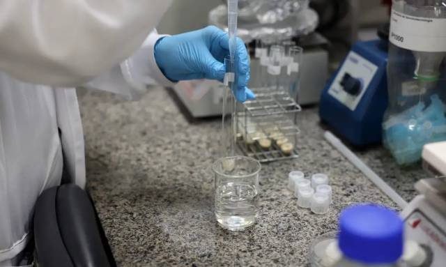 Doença de Newcastle: protocolos sanitários são cumpridos em SC