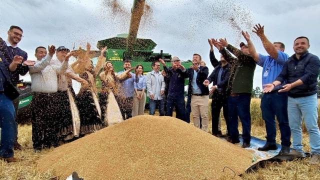 Abertura da colheita do trigo é realizada em Cruz Alta